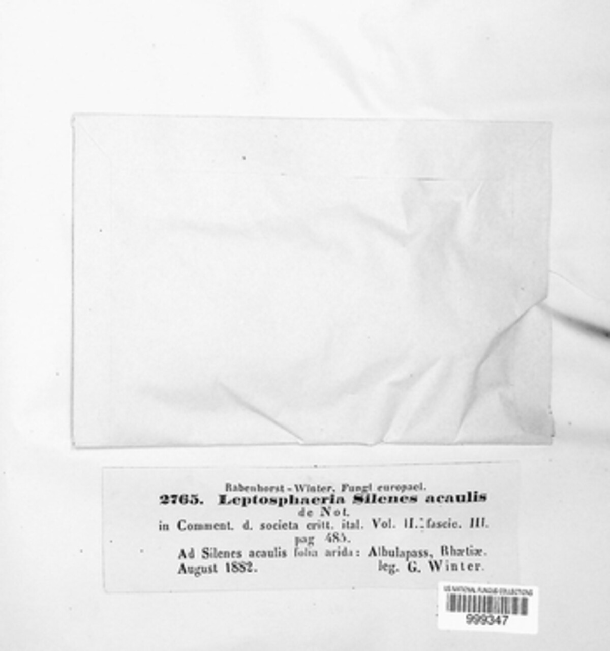 Phaeosphaeria silenes-acaulis image